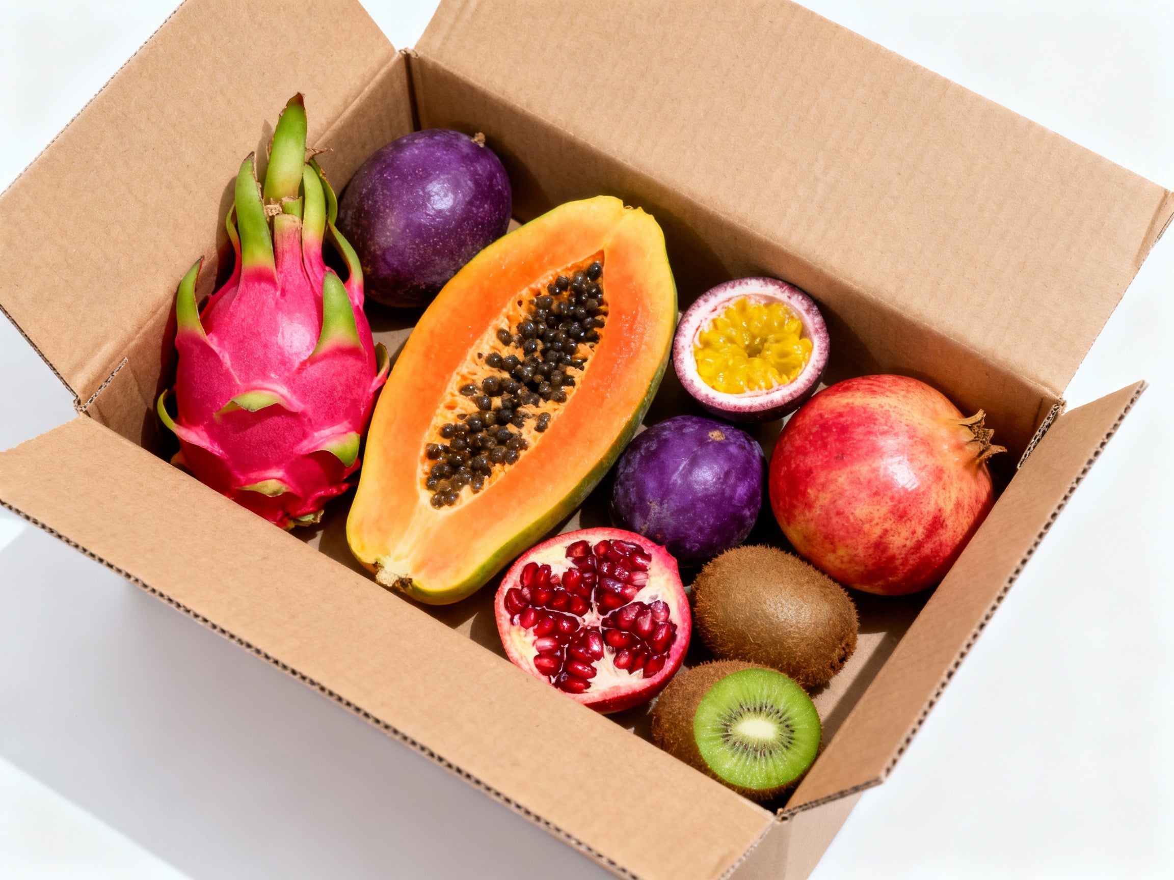 Starter Discovery Box